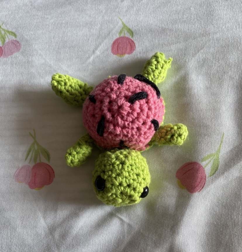 Watermelon turtle mini plushie